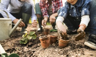 模拟人生4怎么种植物（模拟人生4怎么种植物赚钱）