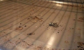 烤箱油垢怎么清理 烤箱除油垢