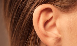 耳朵除了听觉功能还可以感知到（耳朵除了听觉功能还可以感知到蚂蚁庄园）