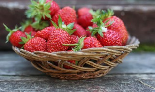 草莓树怎么种植 草莓树苗怎么种植