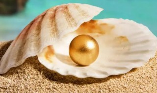 为什么贝类的壳里会生珍珠（为什么贝壳里会有珍珠呢?原因）