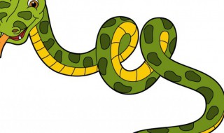 为什么响尾蛇的尾巴会响原理是什么（响尾蛇尾巴为什么要响尾）