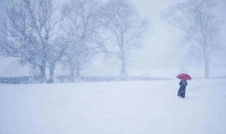 为什么大雪有时被称为白色死神 雪是白色的是命题吗