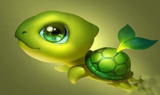 为什么绿毛龟身上能长出绿毛 绿毛龟的绿毛是怎么长出来的