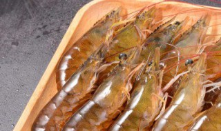 日本车虾的养殖方法 日本车虾养殖技术
