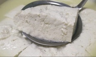 做豆花没有胆水可以用什么代替 做豆花没有胆水可以用什么代替豆子