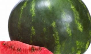 早春红玉西瓜露地种植时间 红玉西瓜的种植方法及时间