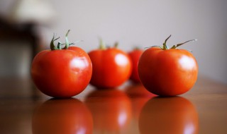 种植西红柿的方法（番茄种植方法）
