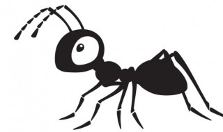 蚂蚁为什么排着队爬行 为什么蚂蚁会排着队走