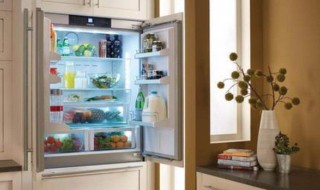 怎么挑选冰箱质量好坏 怎样区分冰箱质量好坏