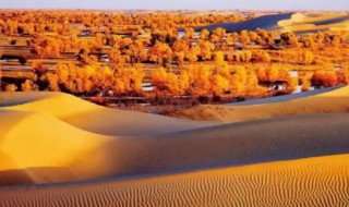 塔克拉玛干沙漠是中国最大的沙漠吗 塔克拉玛干沙漠是我国最大的沙漠吗
