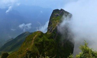 鸡公山海拔多少米（鸡公山海拔多少米高鸡公山相对高度）