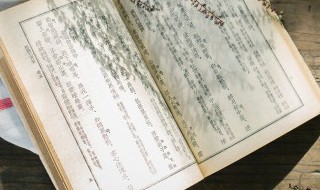 中国第一部韵书是什么 我国第一部韵书是什么
