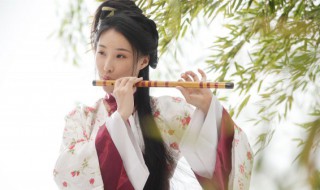 中国民族乐器竹笛分为哪两大类（中国民族乐器竹笛分为哪两大类别）