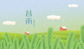 谷雨可以开展什么活动（谷雨能做什么活动）