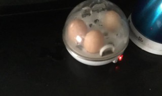 迪士尼煮蛋器怎么使用 迪士尼焖蛋器