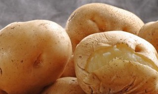 土豆的繁殖方式是出芽生殖吗（发芽的土豆种植属于什么繁殖方式）