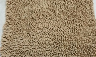 如何防止地毯生霉 地毯霉菌怎么去除