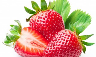 草莓种子快速催芽方法 草莓种子怎么催发芽