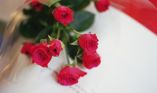 送一朵玫瑰花代表什么 男人在微信送一朵玫瑰花代表什么