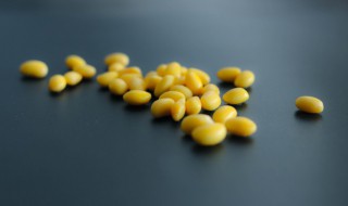 在家怎么长黄豆芽 自己在家用黄豆长豆芽
