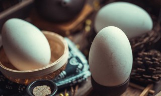 蒸鹅蛋羹的做法 鹅蛋蒸蛋羹做法