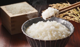 蒸大米饭的做法（普通锅蒸大米饭的做法）