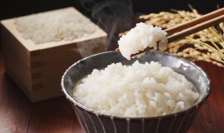 蒸米饭做法（电饭锅蒸米饭做法）