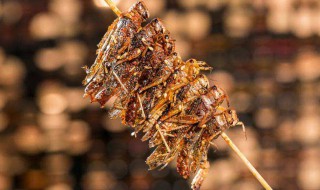 烤蚂蚱怎么做好吃 蚂蚱烧烤怎么做