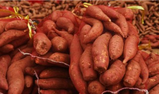 红薯多菌灵保存方法 红薯保鲜剂
