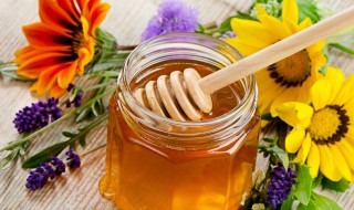 常见蜂蜜的保存方法（蜂蜜保存方法?）