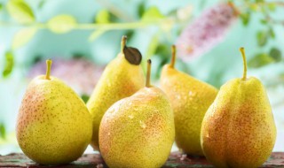 南汇蜜梨保存方法 蜜梨的保存方法