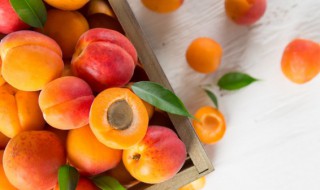 水果放冰箱冷冻可以吗（哪些水果可以冰箱冷冻保存?）
