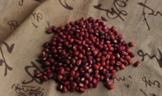 赤豆养殖方法和注意事项（赤小豆种植时间和方法）