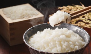 木桶蒸糯米饭的做法（木桶蒸糯米饭的做法及步骤窍门）