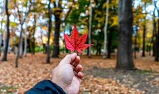 赞美8月的句子和词语 赞美8月份的句子和词语