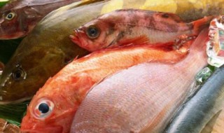 冷藏库鱼类中心温度要求多少合适 冷库冷冻鲜鱼需要多少度
