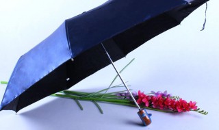 黑胶太阳伞能淋雨吗（黑胶在外面的伞可以淋雨吗）