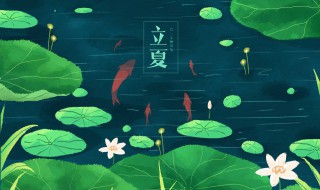 几月几日几点立夏（今年立夏是几月几日几点）