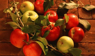 乔化苹果树种植方法（乔化苹果树用什么树形）