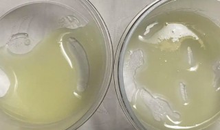 细菌甘油保存方法 甘油保存的细菌常温放置会