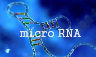 提取的rna保存方法（RNA提取方法）
