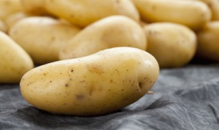 无土土豆怎么栽培 无土栽培土豆的方法