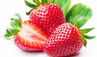 红颜草莓能陆地栽培方法 红颜草莓盆栽