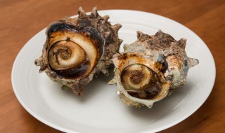 大海螺煮多长时间 大海螺煮多长时间最好吃
