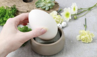 煮鹅蛋多长时间 清水煮鹅蛋多长时间