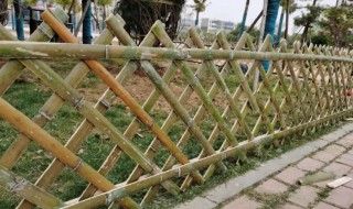 怎样用竹子做围栏 怎么用竹子做围栏