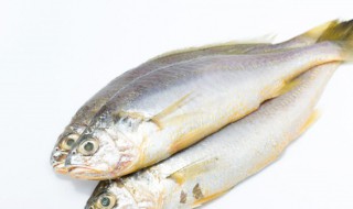 鱼头放冰箱可以吃吗 买的鱼头多了可以放冰箱保存吗?