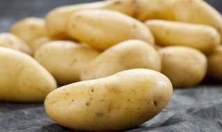 自己种的地里土豆发芽了怎么办 自己种的地里土豆发芽了怎么办视频