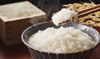 隔水蒸大米饭多久能熟 大米饭蒸几分钟能熟